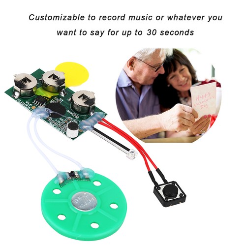 Light activated voice greeting - light,