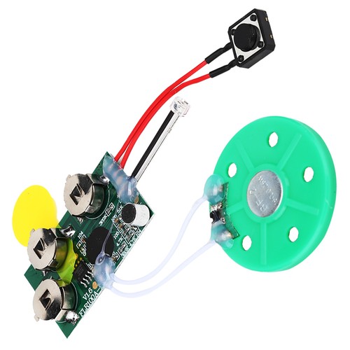 Light activated voice greeting - light,