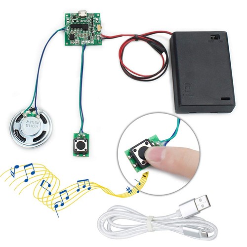 Wayintop recordable sound - wayintop,